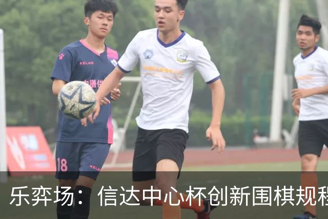 乐弈场：信达中心杯创新围棋规程专题研讨会顺利召开