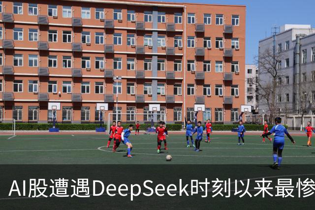 AI股遭遇DeepSeek时刻以来最惨一跌！高盛动量组合抹去全年涨幅，半导体指数逼近年线